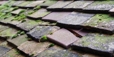 Winkfield roof repair costs